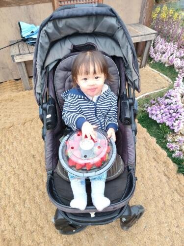 097_Baby_II_239