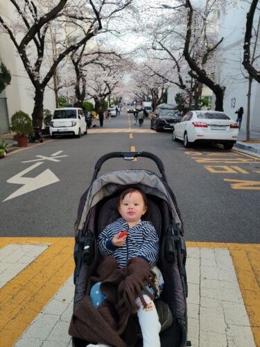 097_Baby_II_318