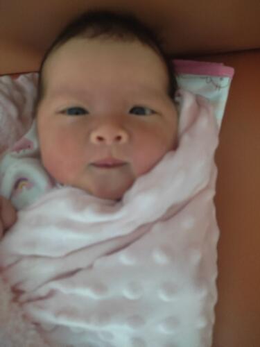 001-jasmine 071024 021