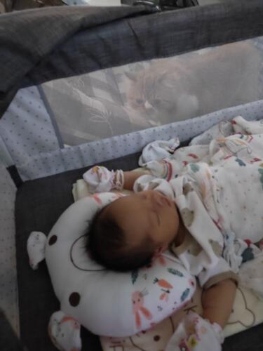 001-jasmine 071024 030