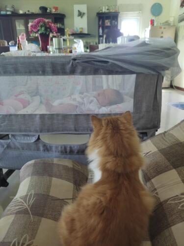 001-jasmine 071024 034