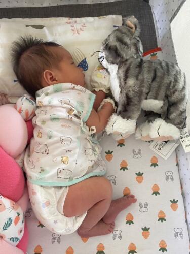 001-jasmine 071024 040