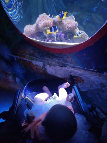 002-Jasmine Learning to Dance 124