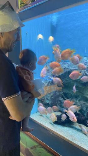 002-Jasmine Learning to Dance 131