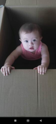 003-089 Jasmine Journey 000h