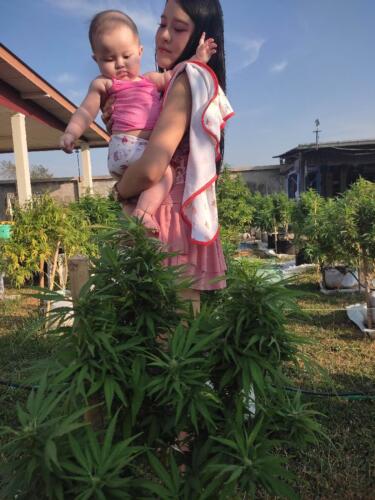 003-089 Jasmine Journey 017