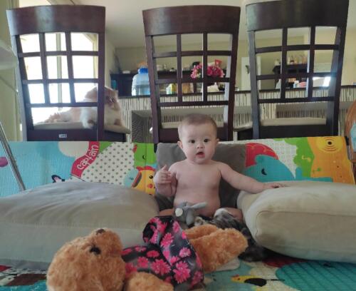 003-089 Jasmine Journey 024