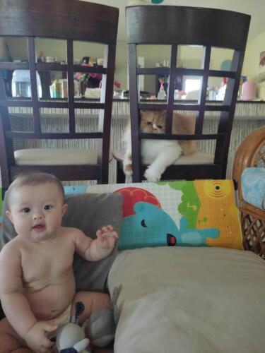 003-089 Jasmine Journey 025