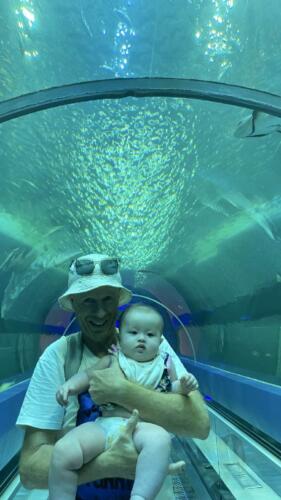 003-089 Jasmine Journey 037