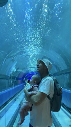 003-089 Jasmine Journey 038