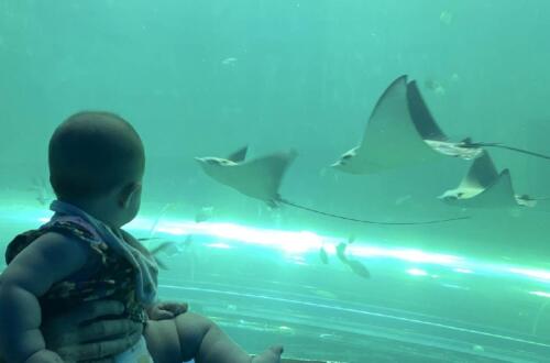 003-089 Jasmine Journey 039