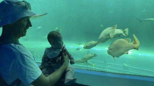 003-089 Jasmine Journey 041