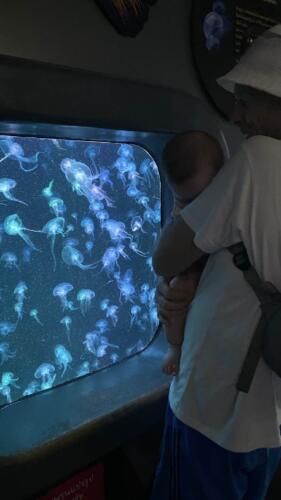 003-089 Jasmine Journey 043