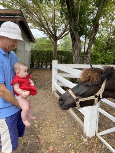 003-089 Jasmine Journey 060