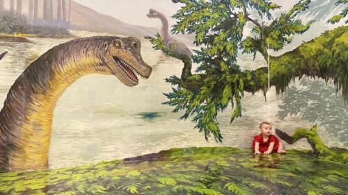 003-089 Jasmine Journey 068