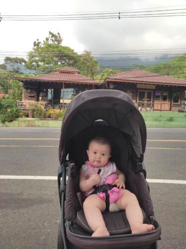 003-089 Jasmine Journey 097