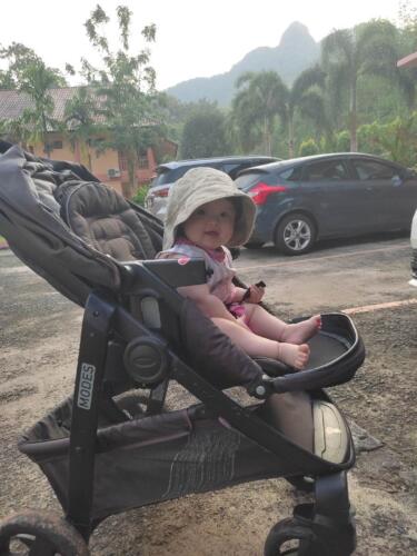 003-089 Jasmine Journey 111