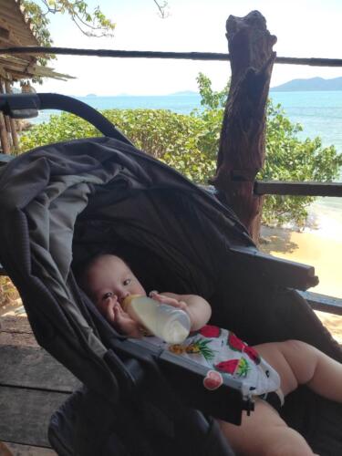 003-089 Jasmine Journey 122