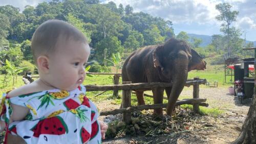 003-089 Jasmine Journey 133