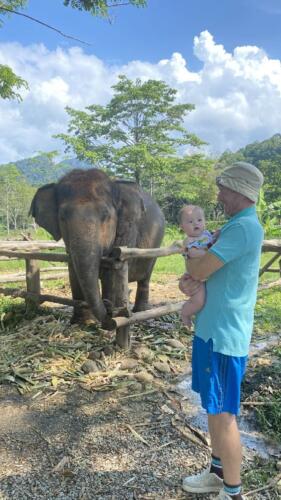 003-089 Jasmine Journey 134