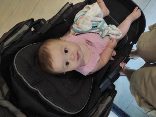 003-089 Jasmine Journey 150