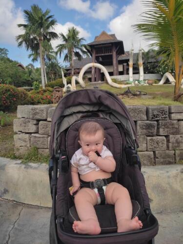 003-089 Jasmine Journey 164