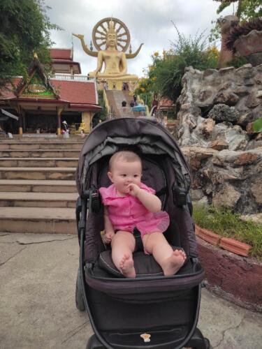 003-089 Jasmine Journey 165