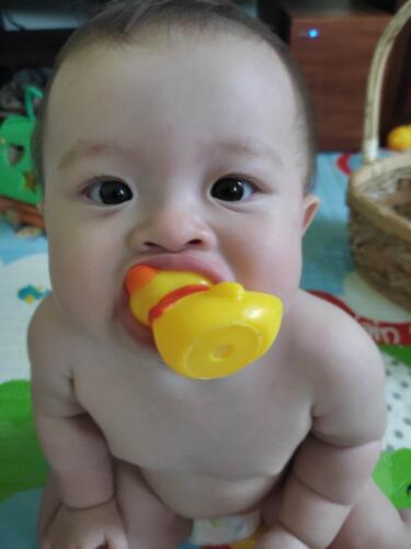 003-089 Jasmine Journey 209