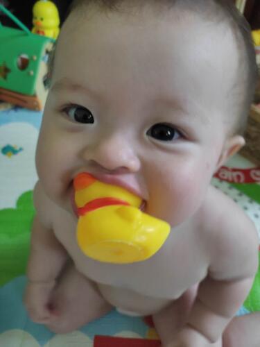 003-089 Jasmine Journey 210