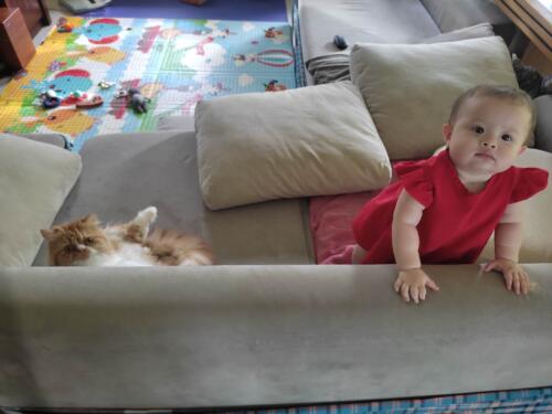 003-089 Jasmine Journey 215