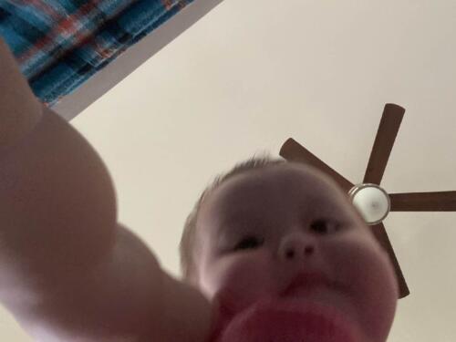 003-089 Jasmine Journey 216