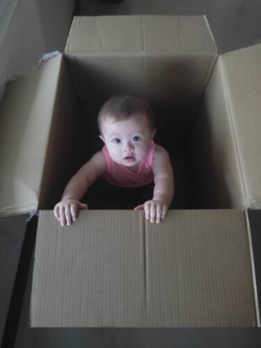 003-089 Jasmine Journey 222