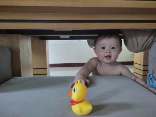 003-089 Jasmine Journey 227