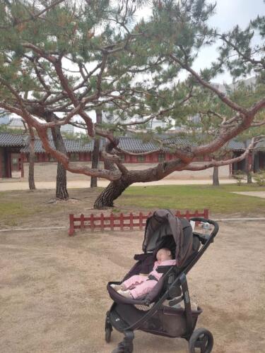 090 A Week In Seoul 047