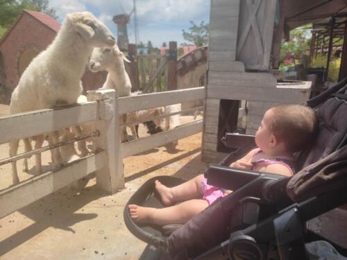 090 A Week In Seoul 139