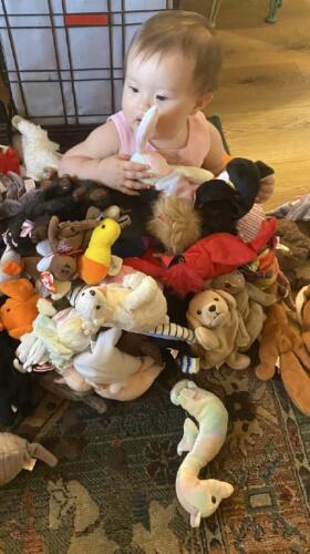 091 Jasmine goes to Grannys UK 037