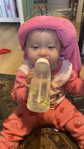 091 Jasmine goes to Grannys UK 044