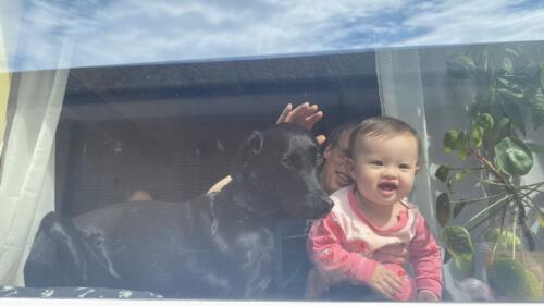 091 Jasmine goes to Grannys UK 053