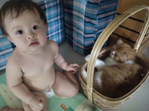 091 Jasmine goes to Grannys UK 110