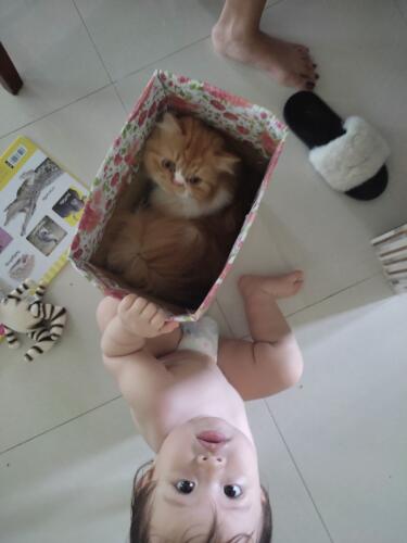 093 Jasmine Goes Taiwan 164