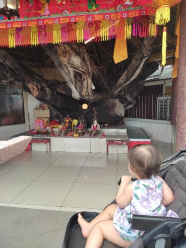 095 Malaysia Trip Nov 2025 019