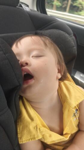 095 Malaysia Trip Nov 2025 040