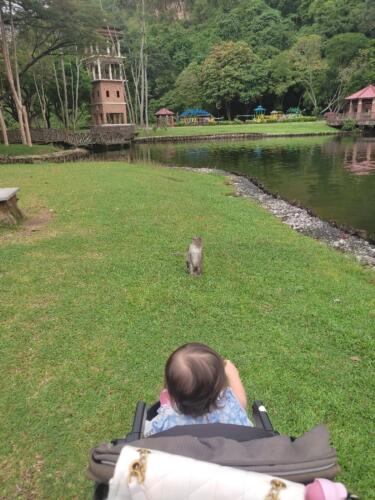 095 Malaysia Trip Nov 2025 087