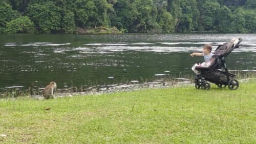 095 Malaysia Trip Nov 2025 109