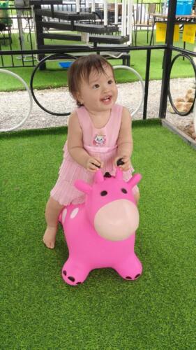 095 Malaysia Trip Nov 2025 114