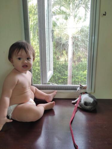 Hurricane Jasmine Vietnam Oct 25 1007